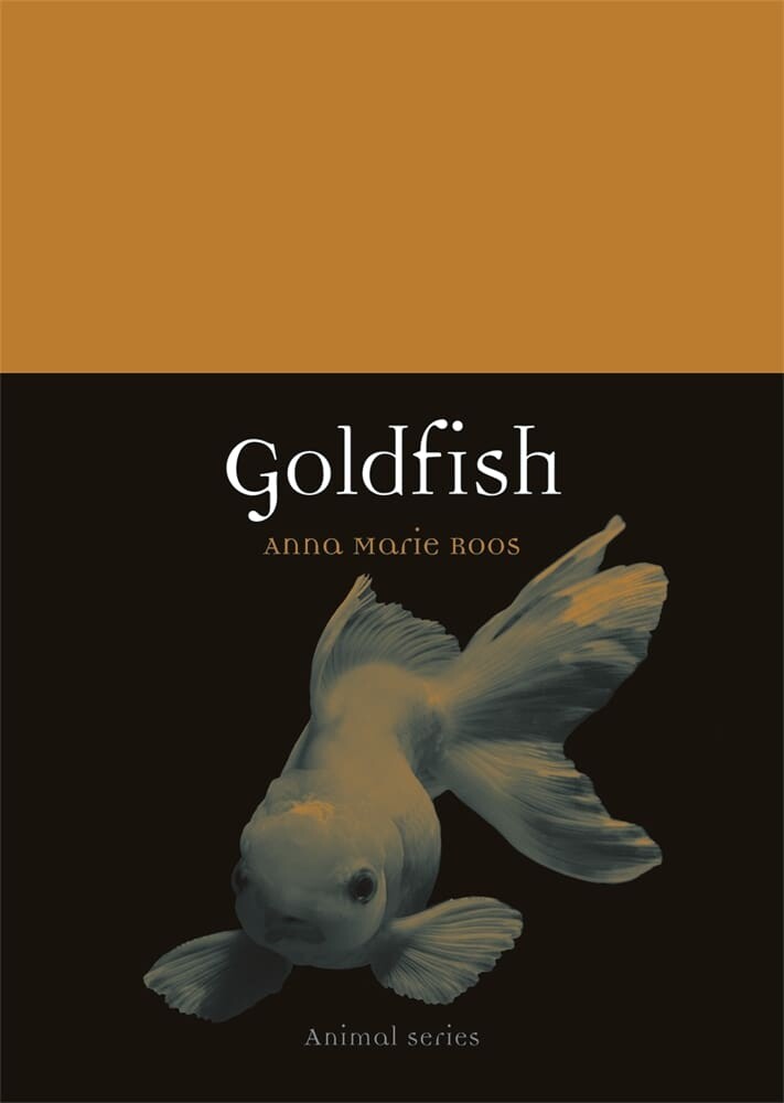 Goldfish (Paperback)