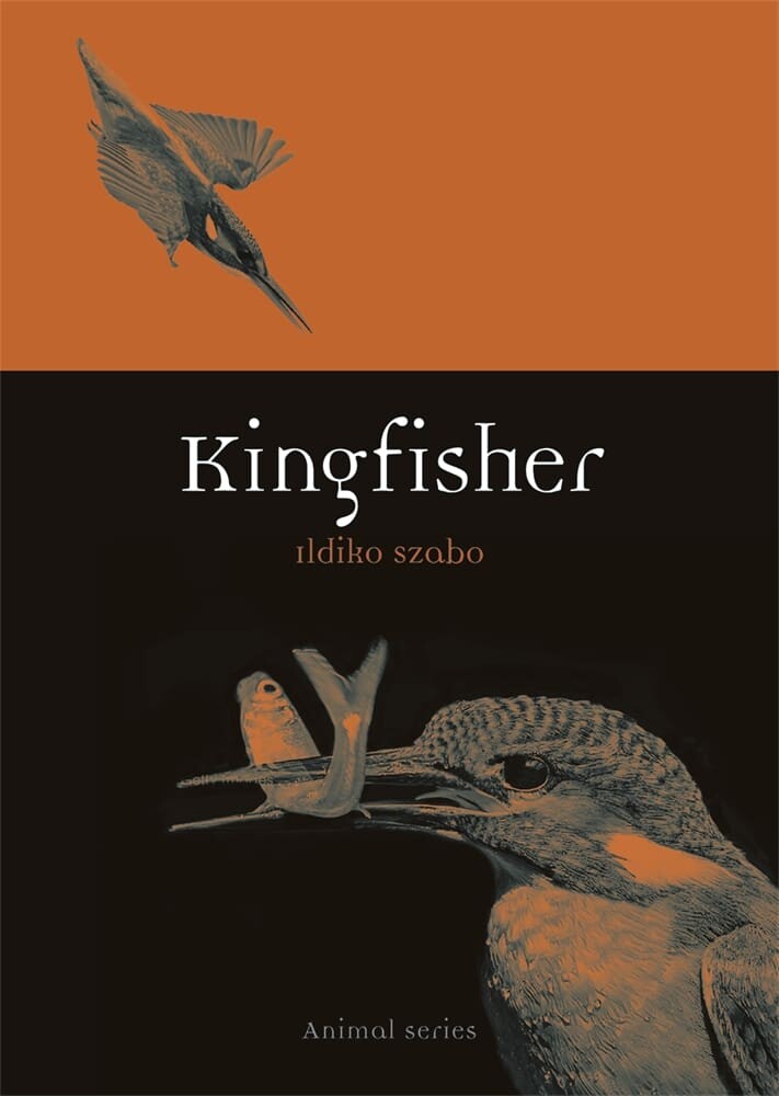 Kingfisher (Paperback)