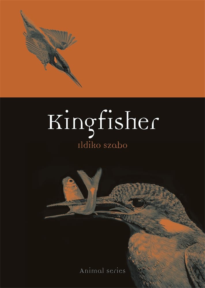 Kingfisher (Paperback)