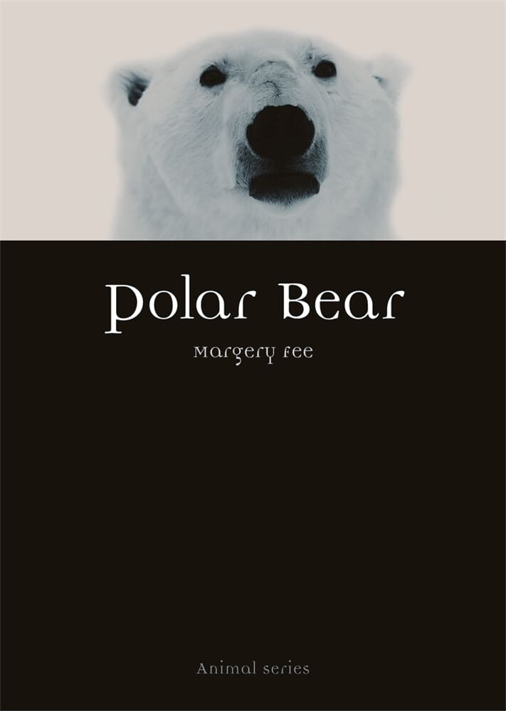 Polar Bear (Paperback)