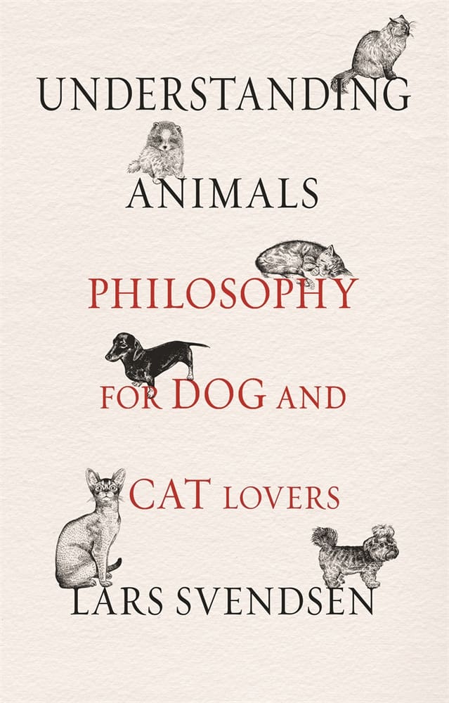 Understanding Animals (Hardback)