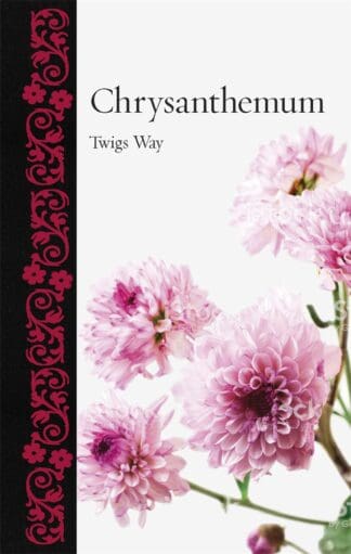 Chrysanthemum (Hardback)