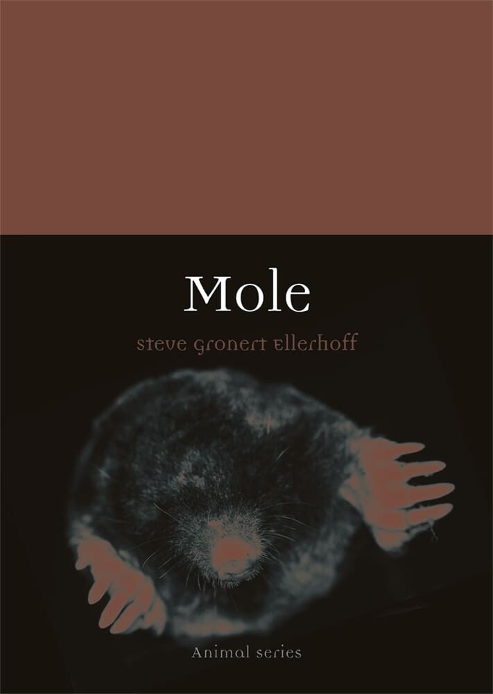 Mole (Paperback)