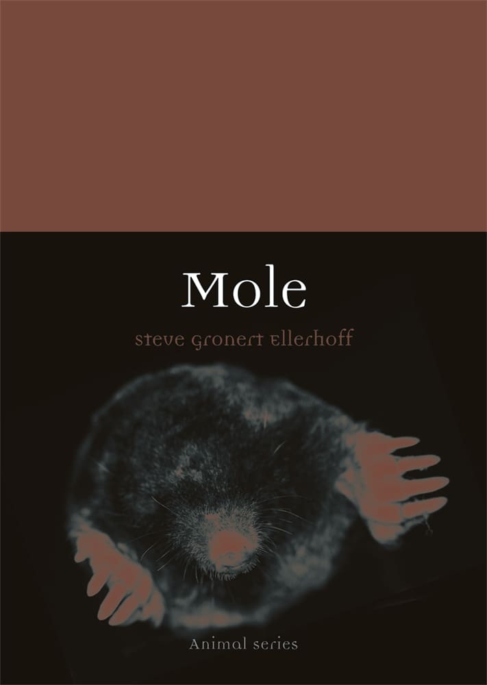 Mole (Paperback)