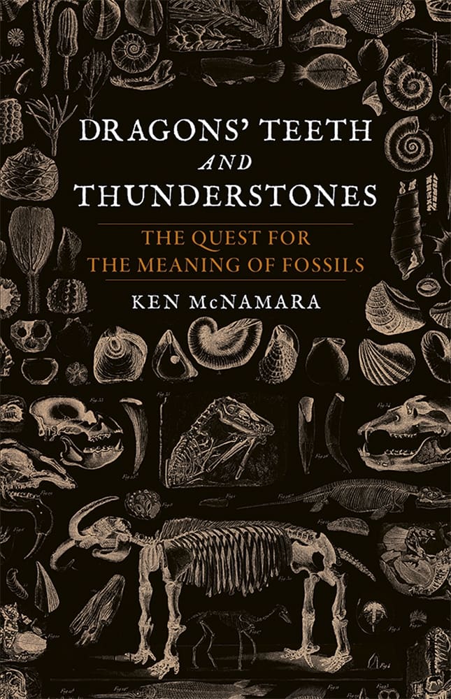 Dragons’ Teeth and Thunderstones (Ebook)