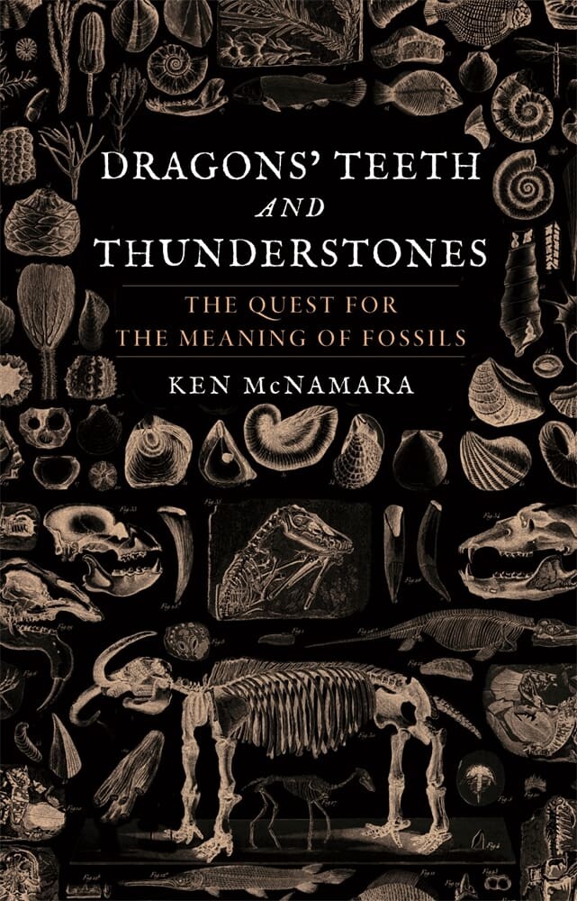 Dragons’ Teeth and Thunderstones (Hardback)