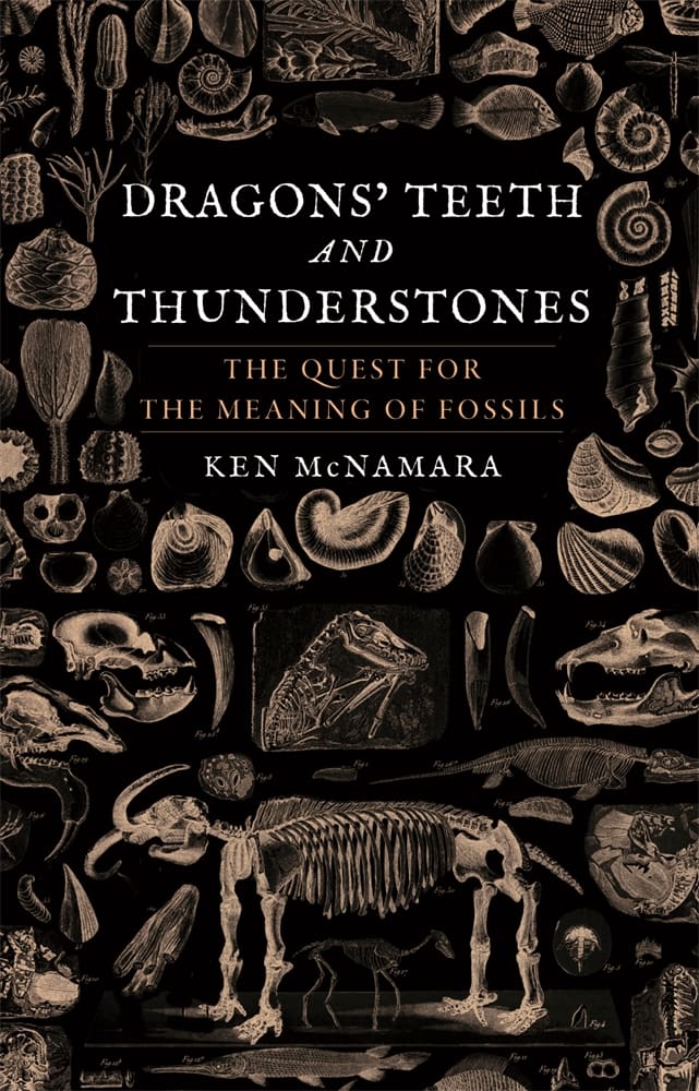 Dragons’ Teeth and Thunderstones (Hardback)