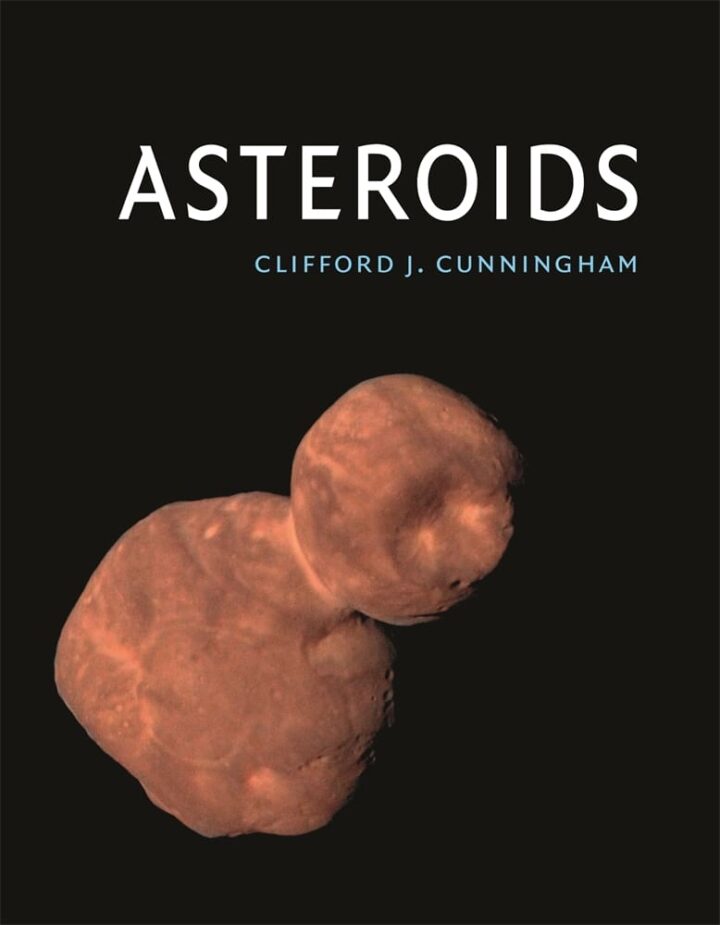 Asteroids (Hardback)