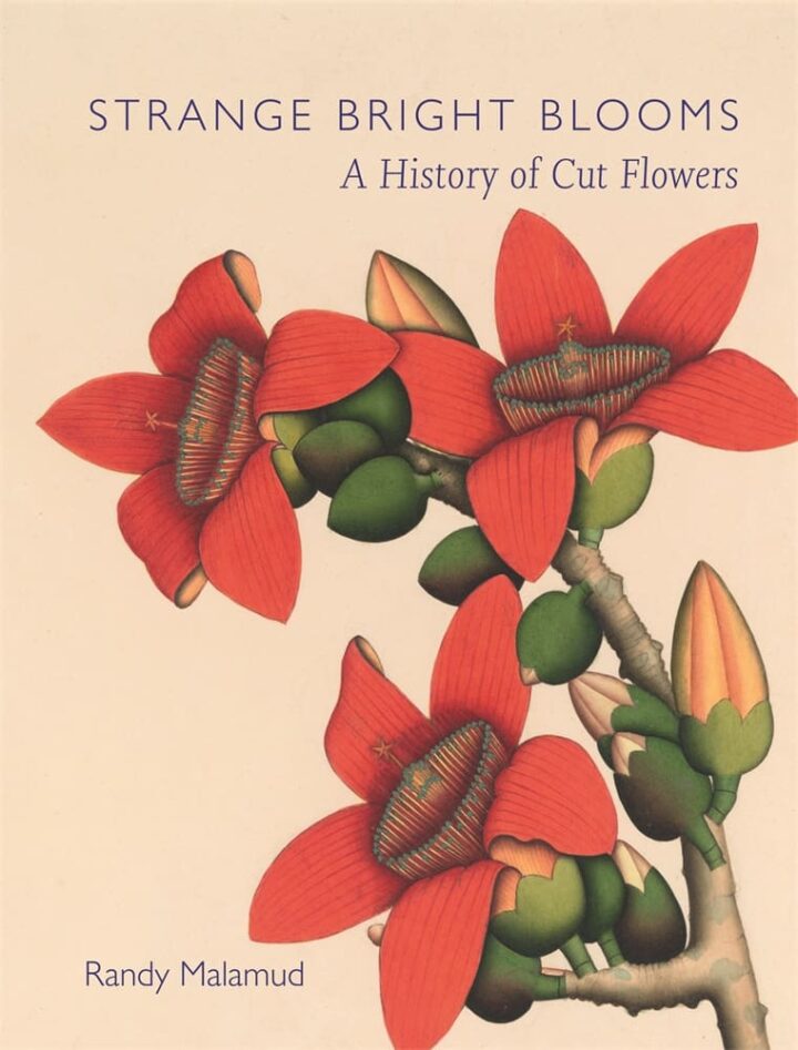 Strange Bright Blooms (Hardback)