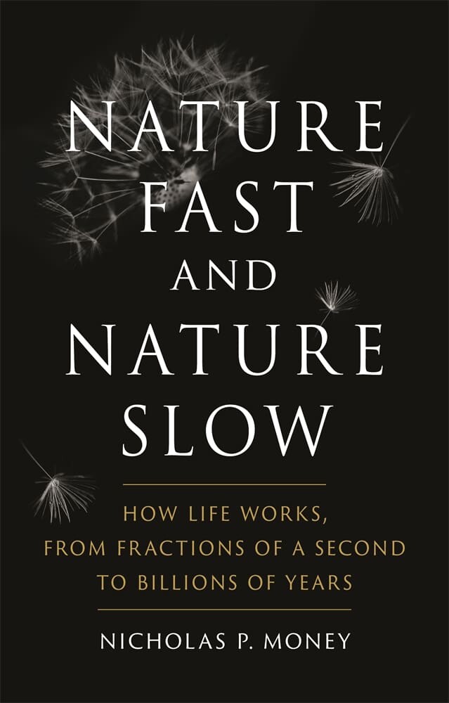 Nature Fast and Nature Slow (Hardback)