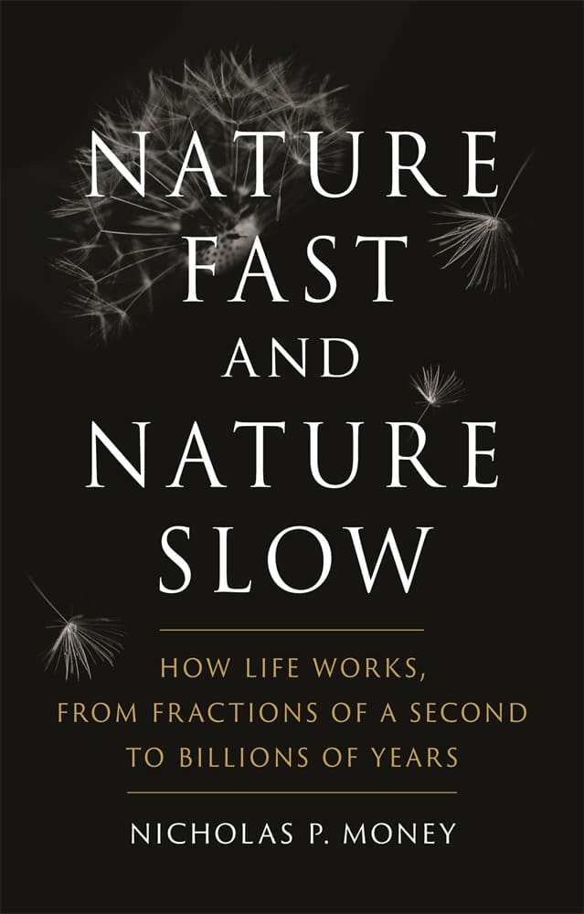 Nature Fast and Nature Slow (Hardback)