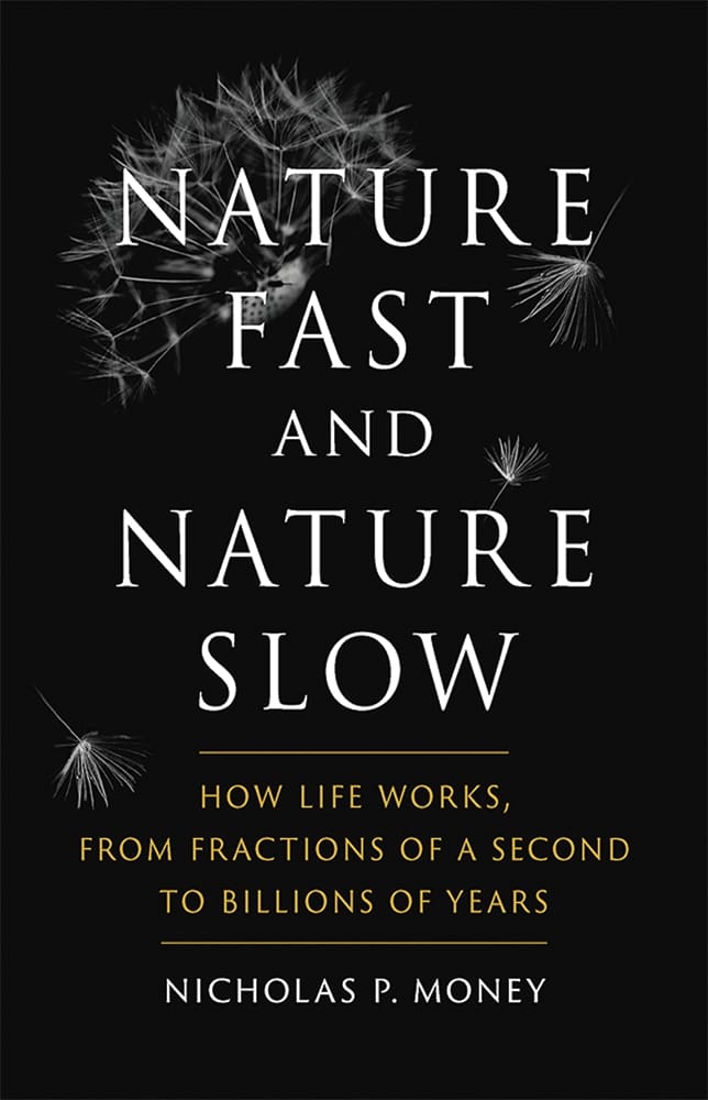 Nature Fast and Nature Slow (Ebook)