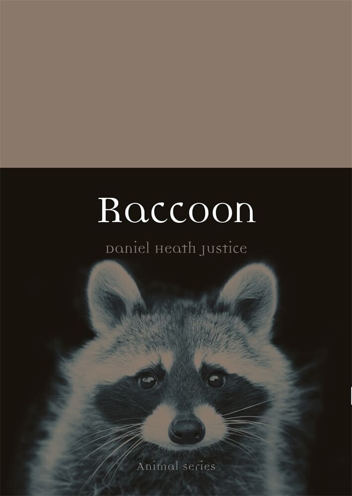 Raccoon (Paperback)