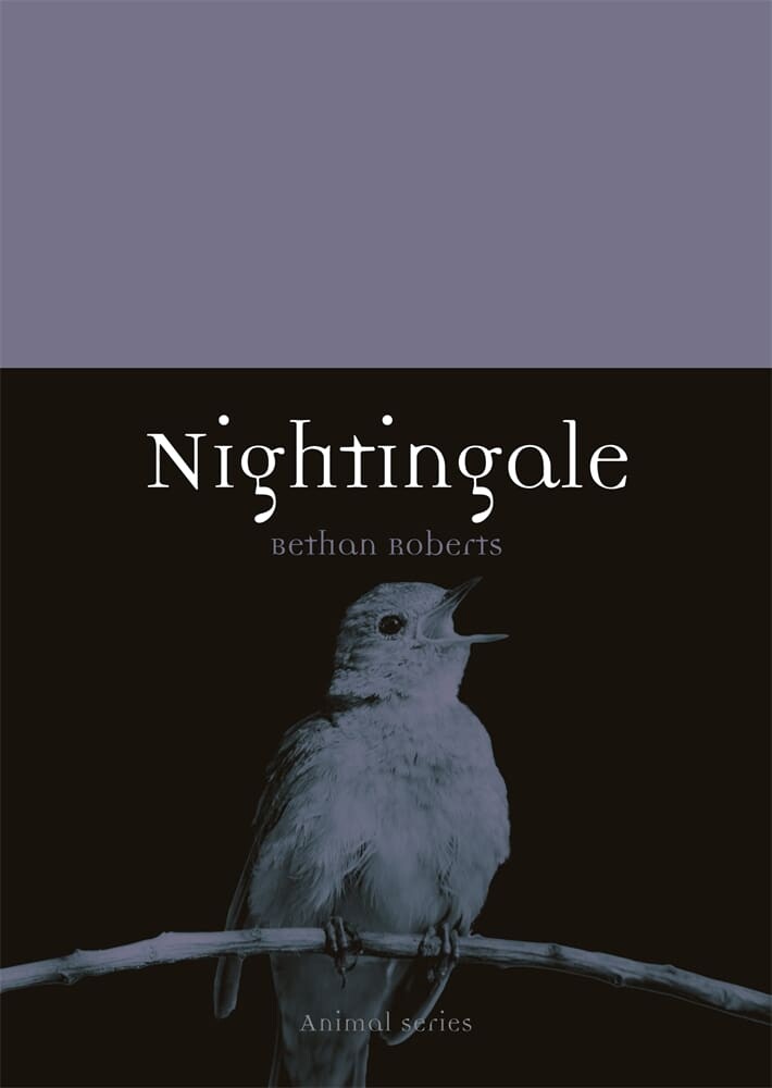 Nightingale (Paperback)