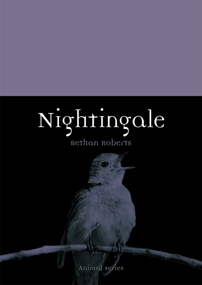 Nightingale (Ebook)