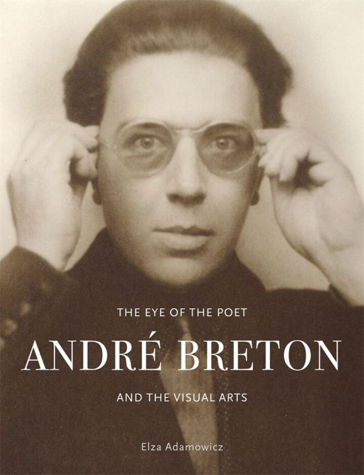 The Eye of the Poet (Hardback)