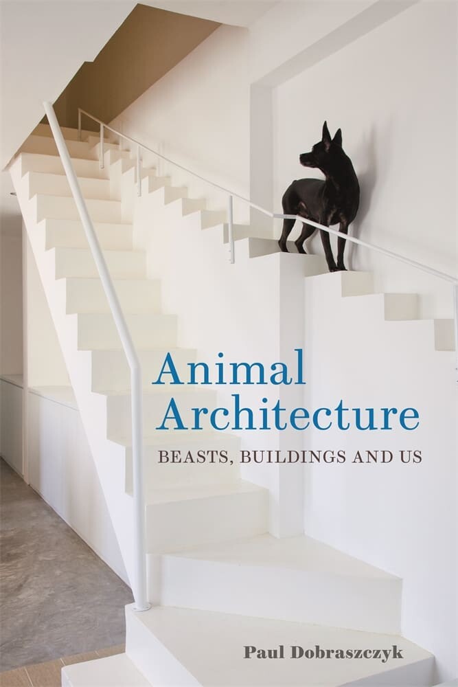Animal Architecture (Hardback)