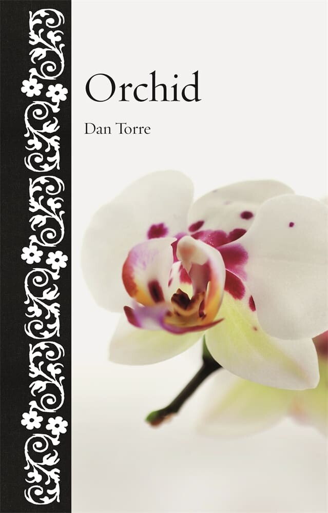 Orchid (Hardback)
