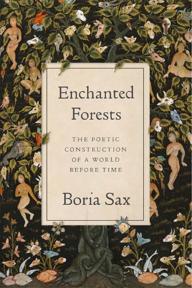 Enchanted Forests (Hardback)