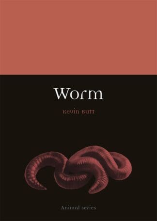 Worm (Paperback)
