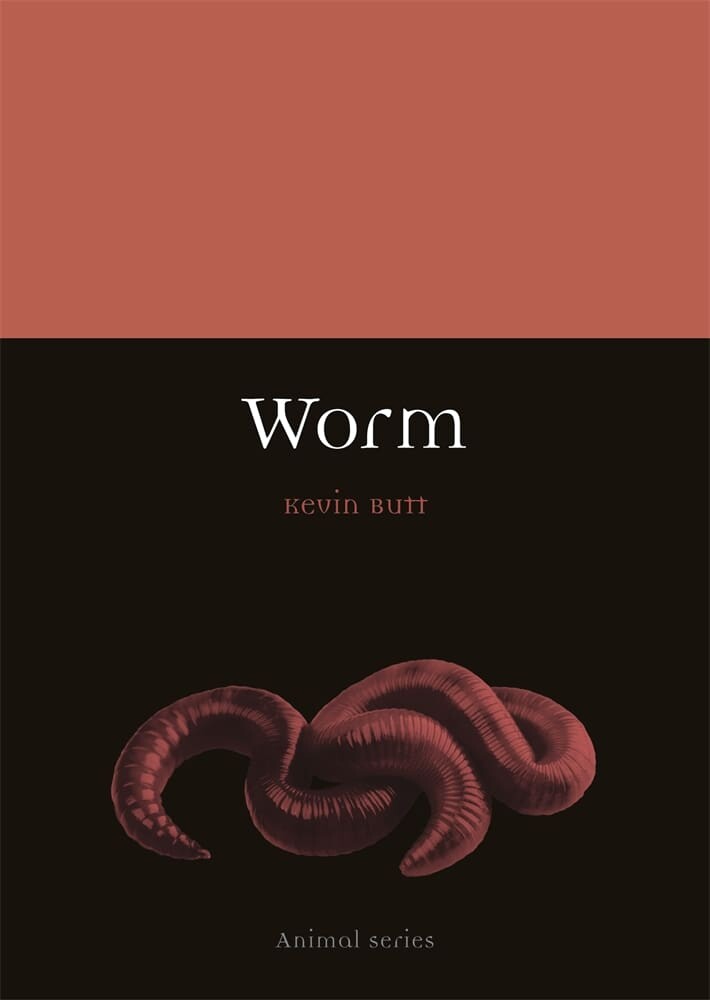 Worm (Paperback)