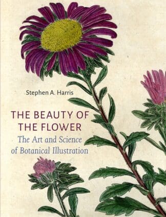 The Beauty of the Flower (Ebook)
