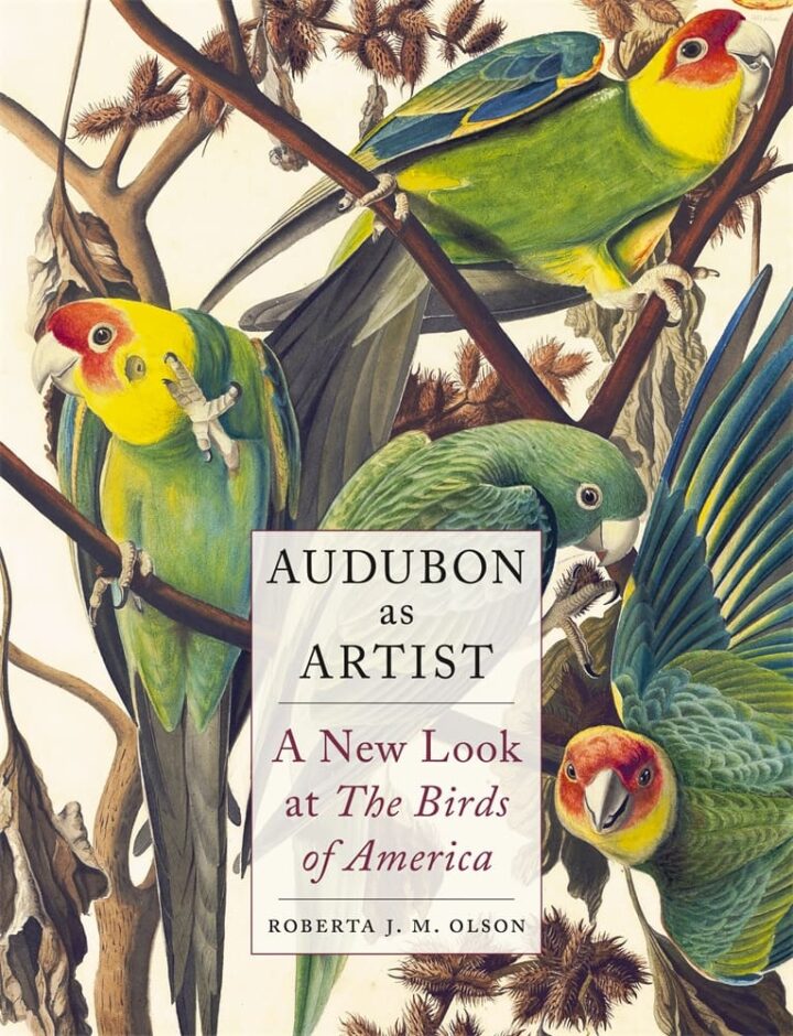 Audubon as Artist (Hardback)