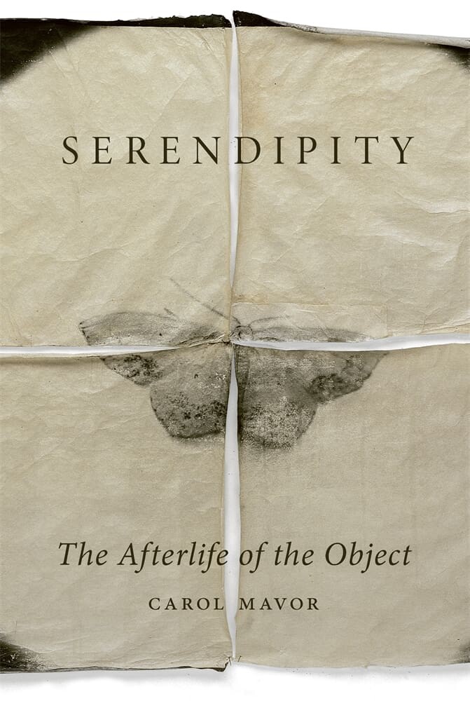 Serendipity (Hardback)