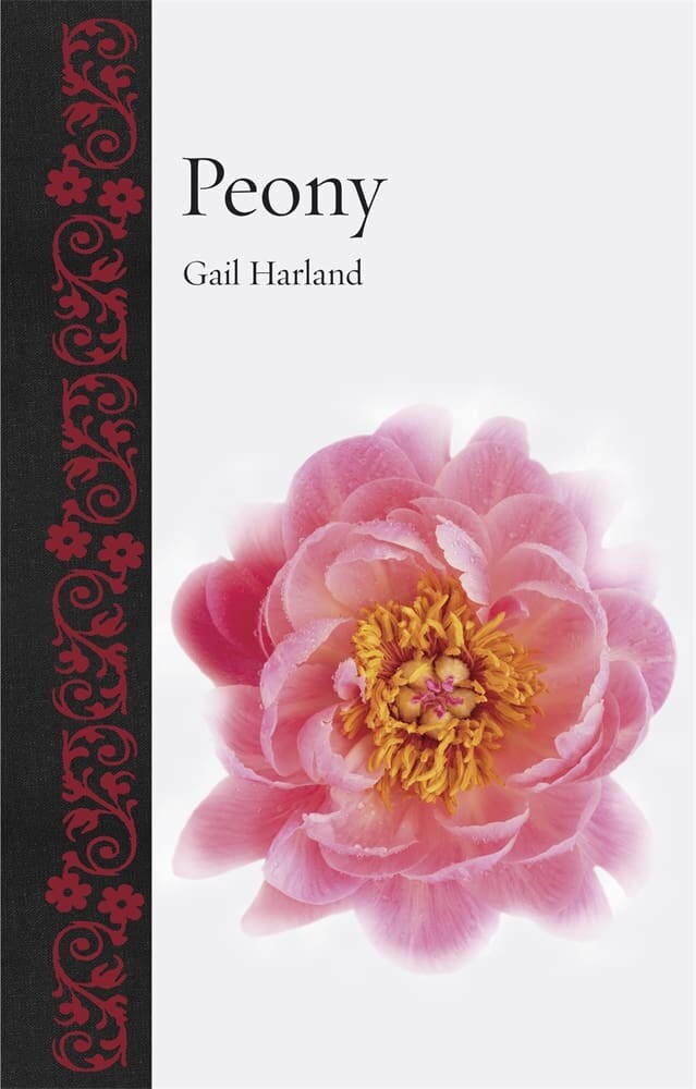 Peony (Hardback)