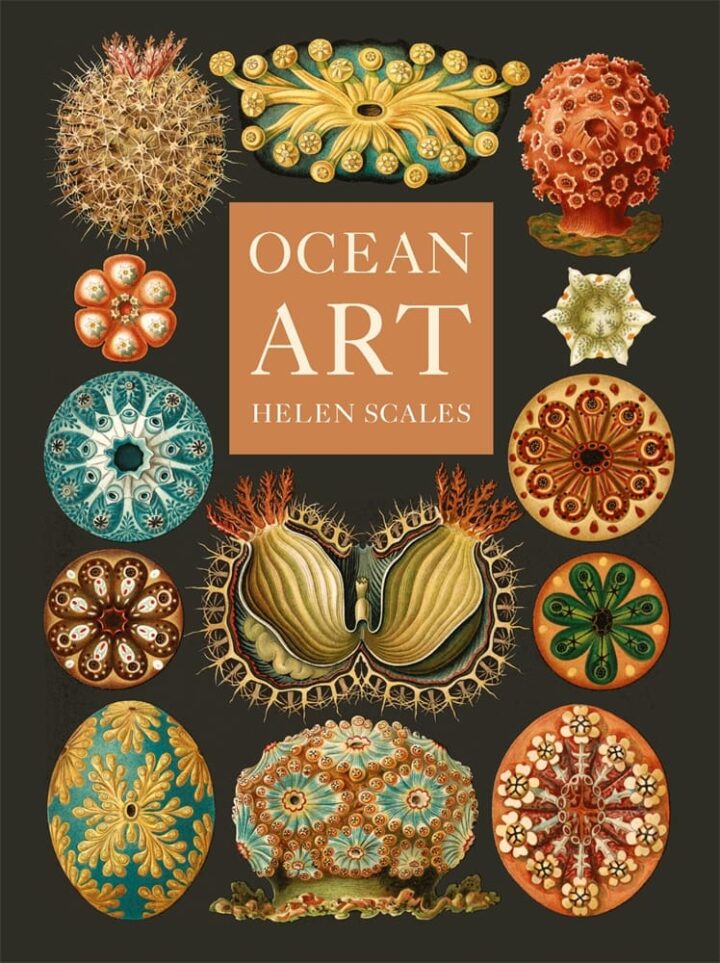 Ocean Art (Hardback)