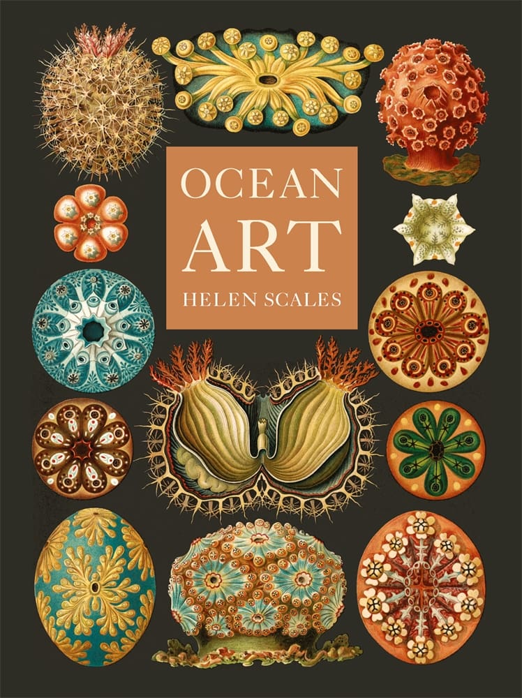 Ocean Art (Hardback)