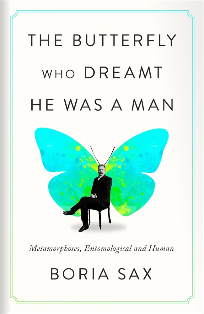 The Butterfly Who Dreamt He Was a Man (Hardback)