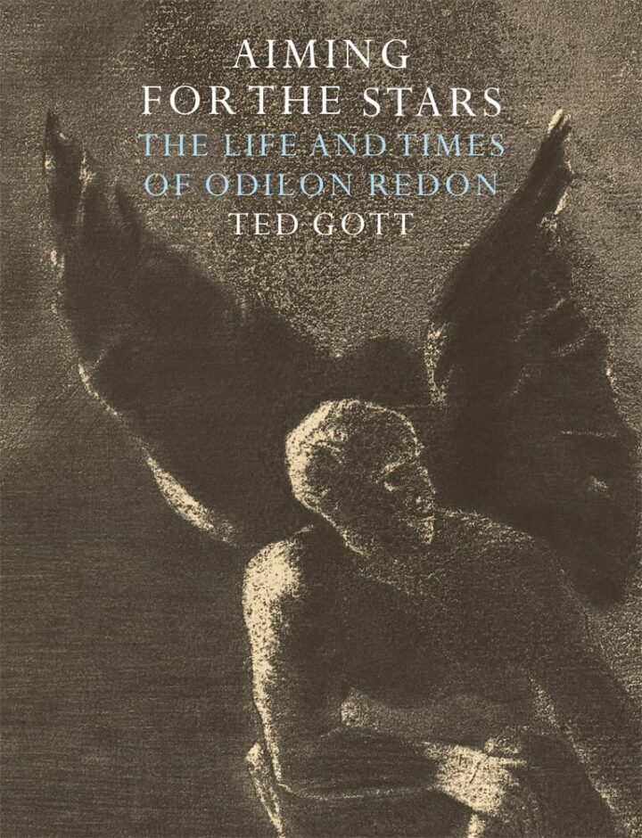 Aiming for the Stars (Hardback)