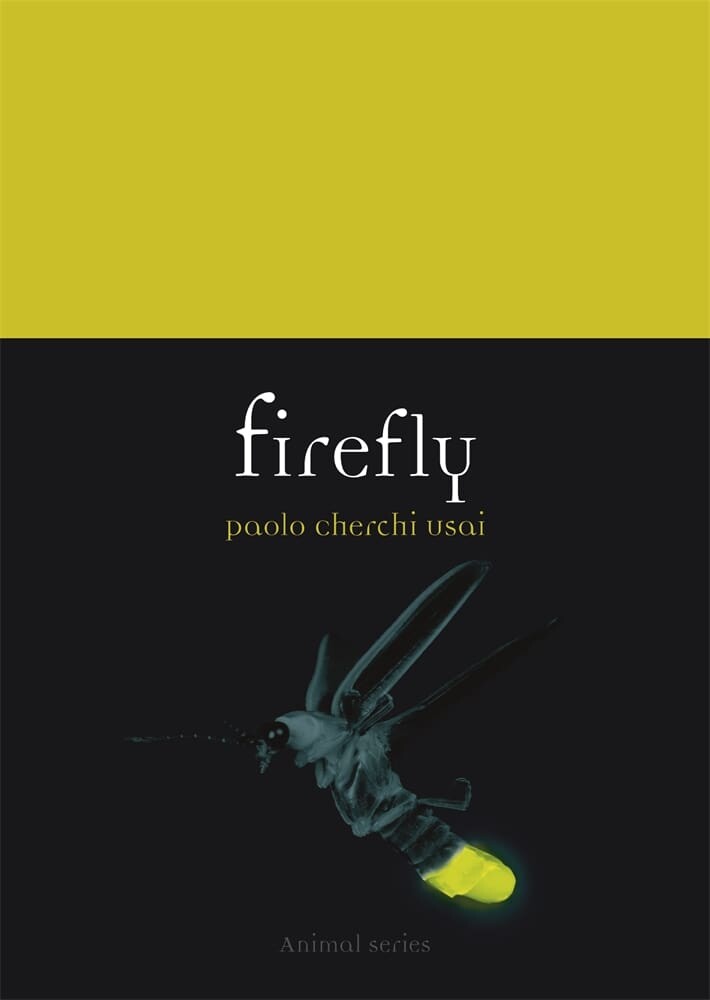 Firefly (Paperback)