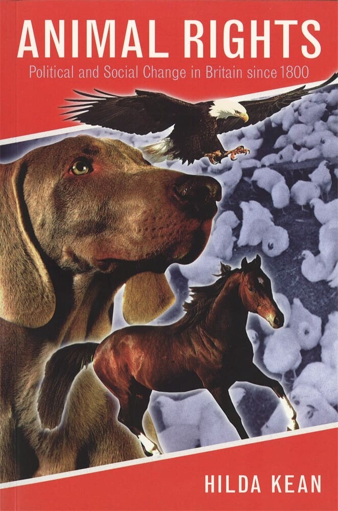 Animal Rights (Paperback)