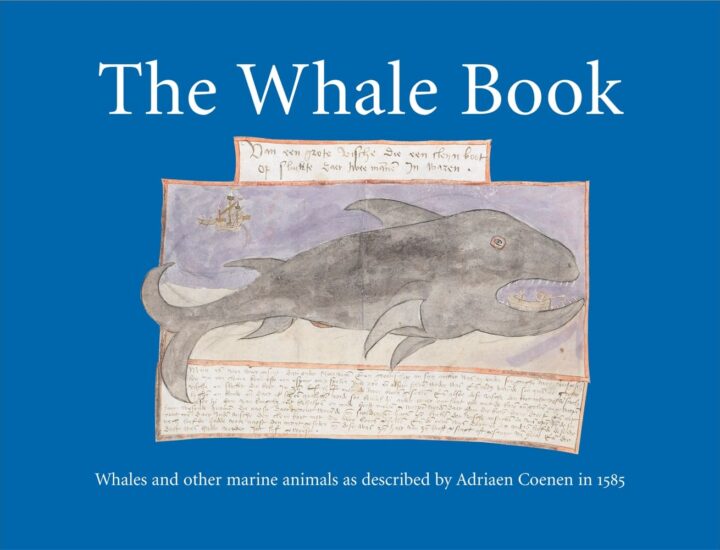 The Whale Book (Hardback)