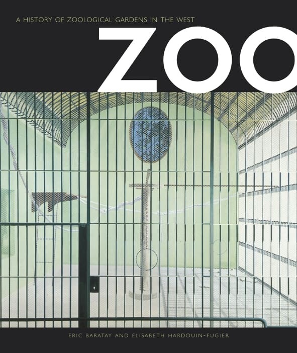 Zoo (Paperback)