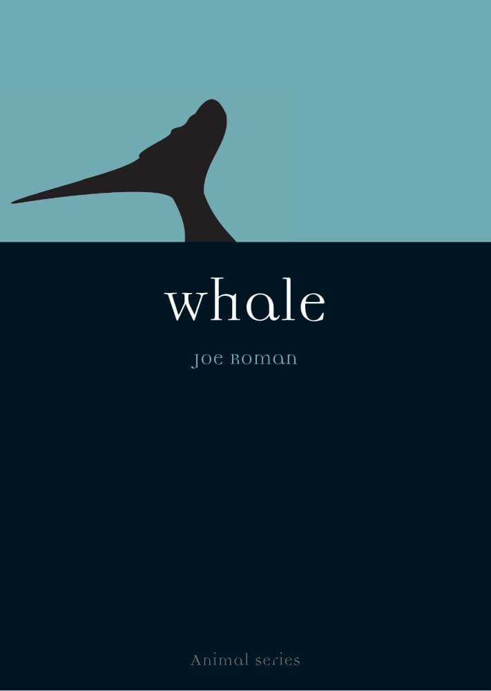Whale (Paperback)
