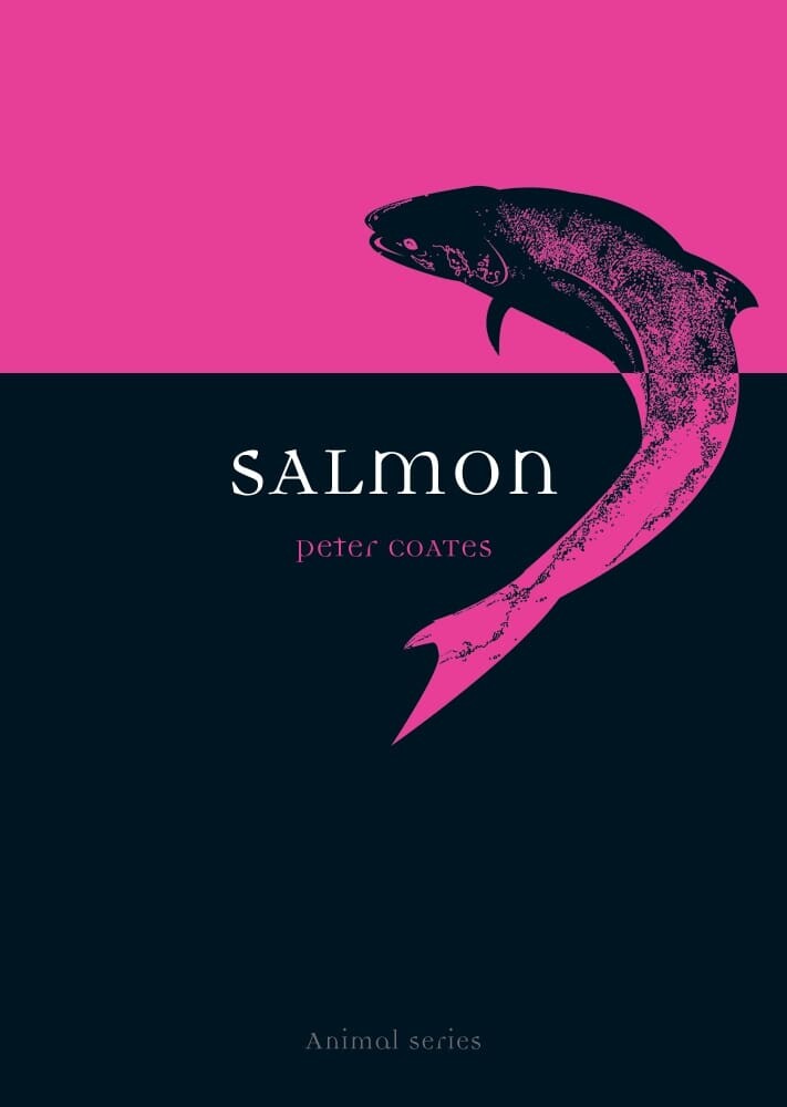 Salmon (Paperback)
