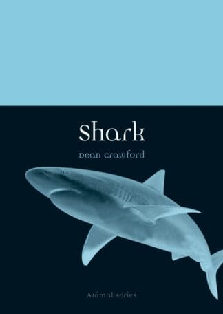 Shark (Paperback)