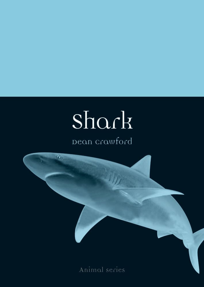 Shark (Paperback)