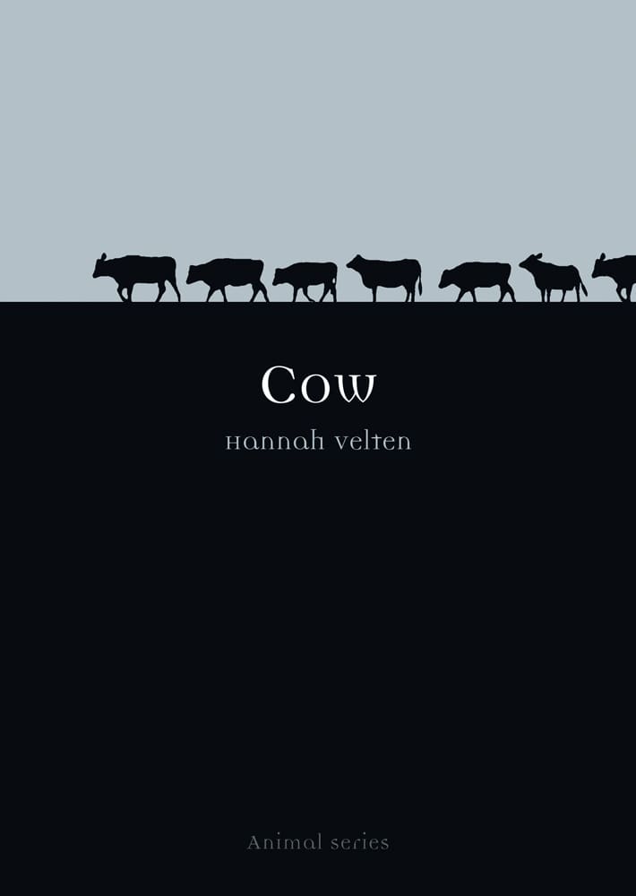 Cow (Paperback)