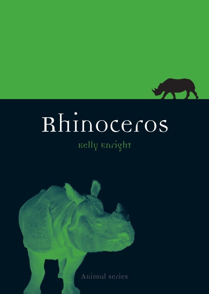 Rhinoceros (Paperback)