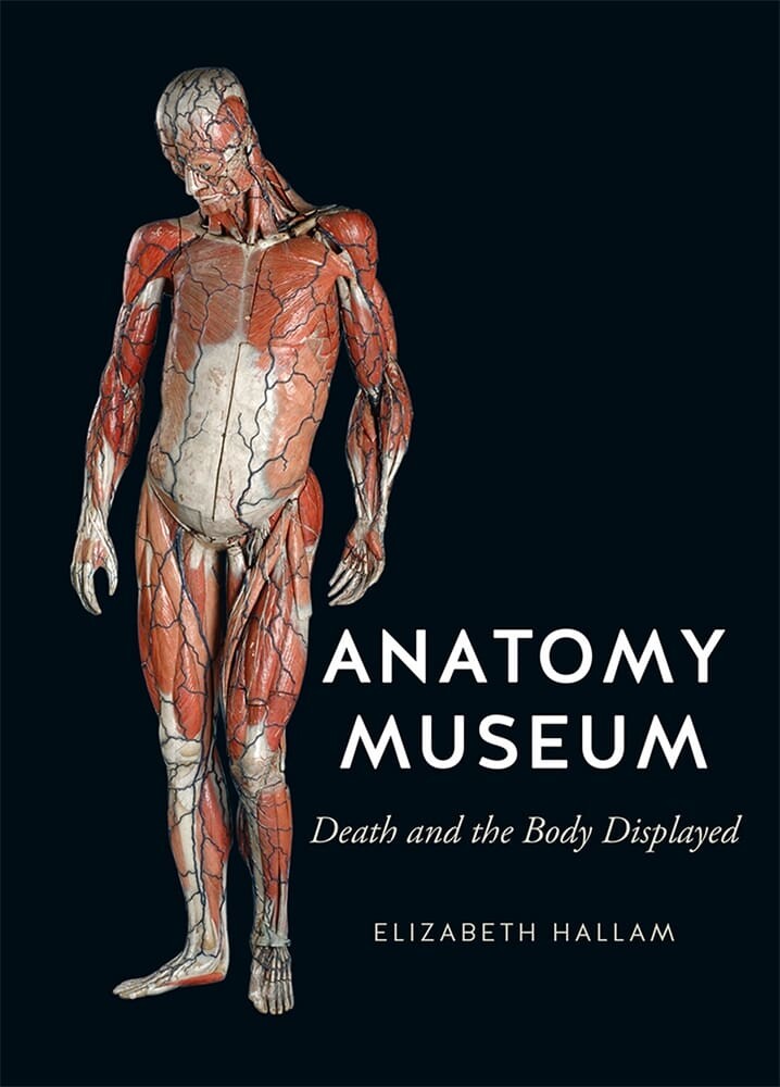 Anatomy Museum (Hardback)
