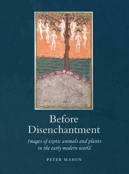 Before Disenchantment (Hardback)