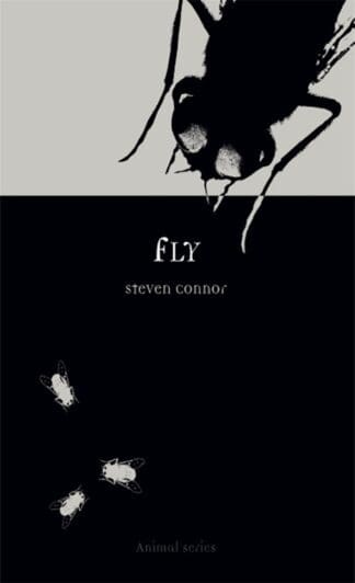 Fly (Ebook)