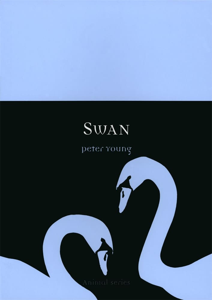 Swan (Ebook)