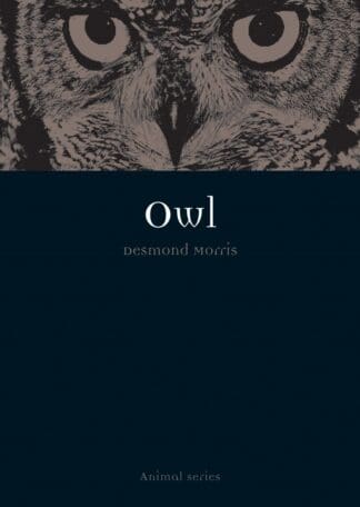 Owl (Paperback)