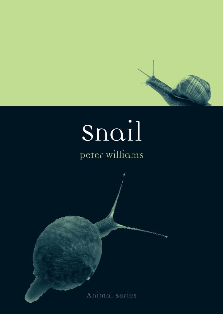 Snail (Paperback)