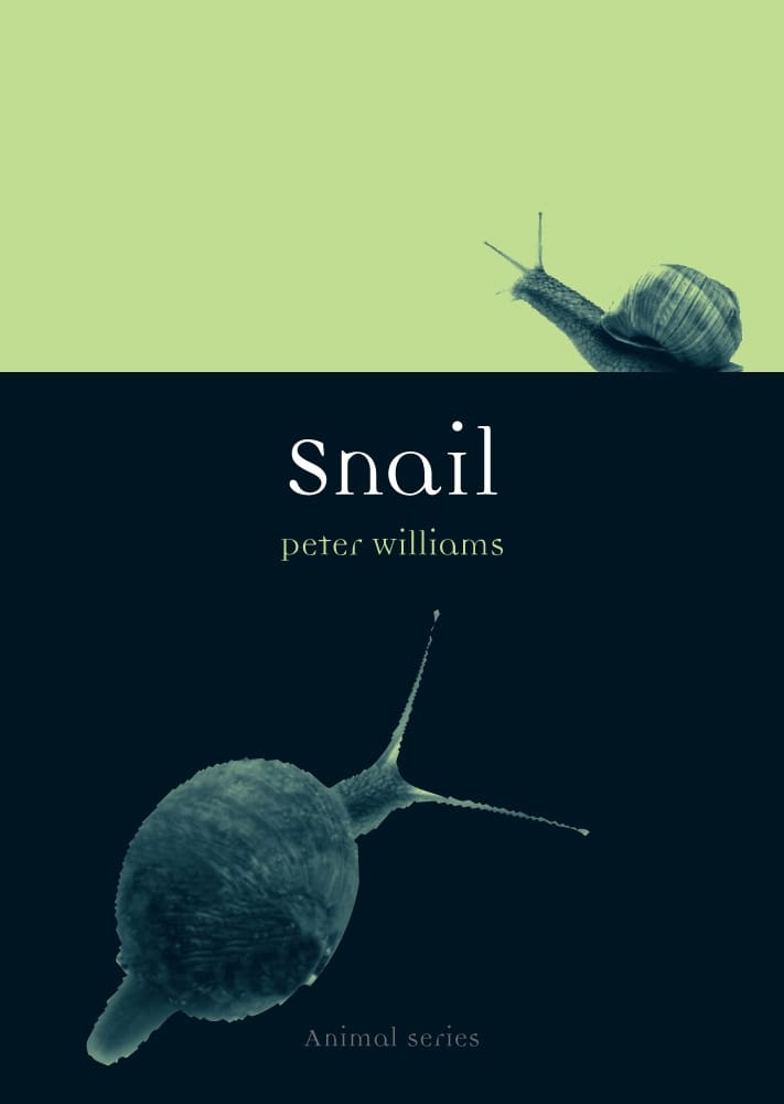 Snail (Paperback)